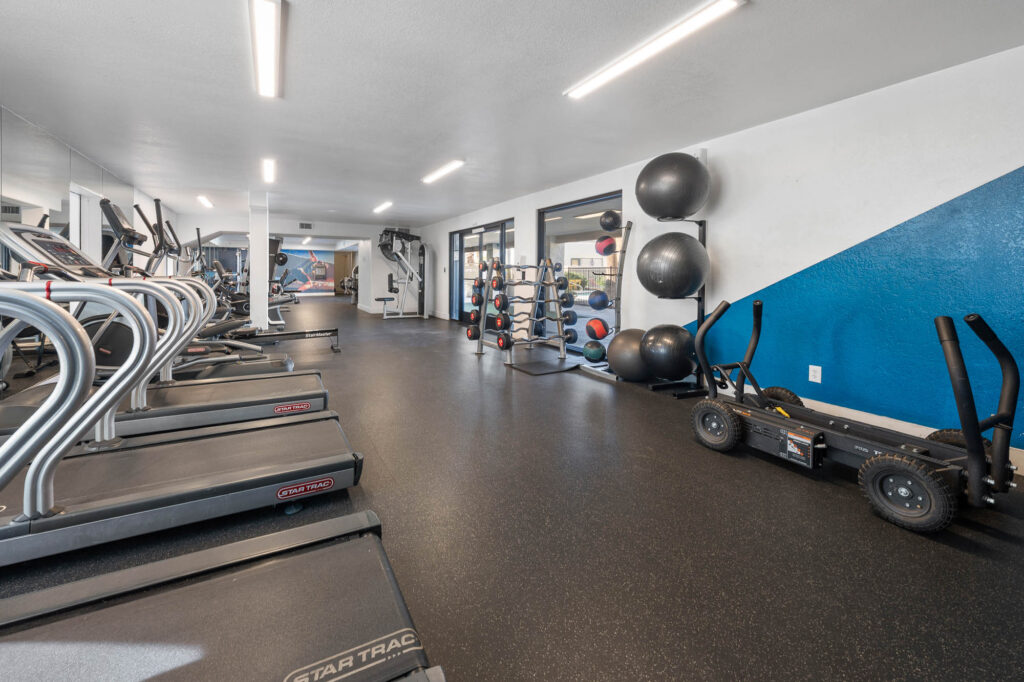 A modern gym with treadmills, ellipticals, free weights, kettlebells, large exercise balls, and other fitness equipment. The room has bright lighting and a blue and white accent wall.
