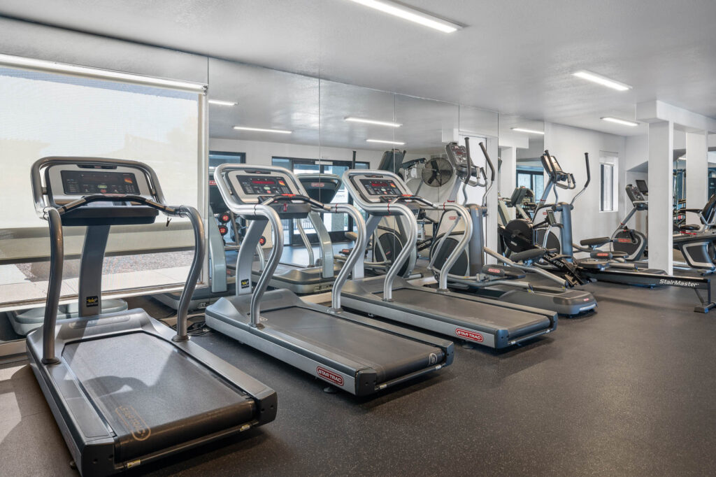 A modern gym with several treadmills and elliptical machines lined up facing mirrors, featuring bright lighting and large windows letting in natural light.